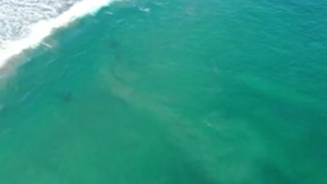 SAN JOSE DEL CABO MEXICO-2020: The Beautiful Waters Of San Jose Del Cabo Mexico