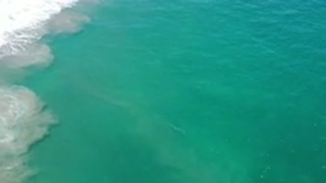 SAN JOSE DEL CABO MEXICO-2020: The Big Ocean Has A Ripple Effect That Has Fish