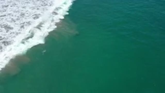 SAN JOSE DEL CABO MEXICO-2020: Top View Of A Beautiful Wave In A Beach