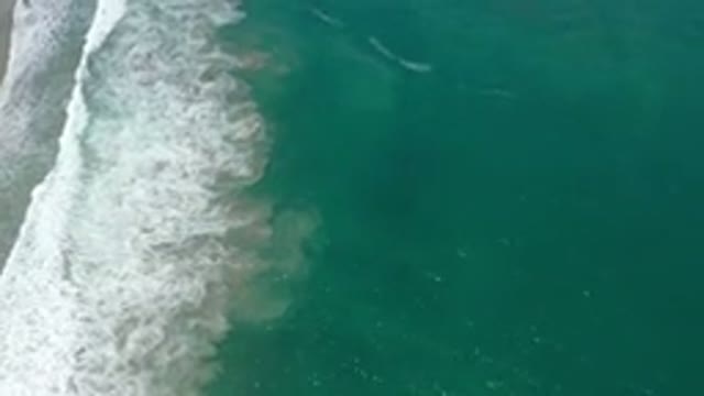 SAN JOSE DEL CABO MEXICO-2020: Drone Is Flying To Capture Beautiful Sea Life