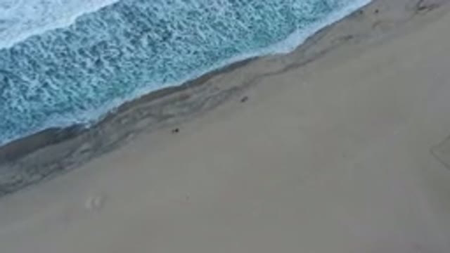 SAN JOSE DEL CABO MEXICO-2020: Pretty Sandy Beach Recorded From The Sky With