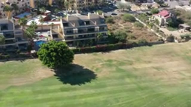 LOS CABOS MEXICO-2020: Aerial View of Well-Tamed Lawn and Greenery