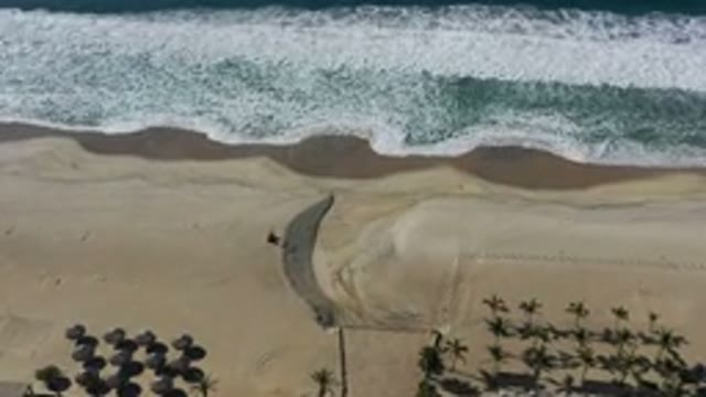 LOS CABOS MEXICO-2020: Tables And Trees Are Planted In The Sand While The Pretty