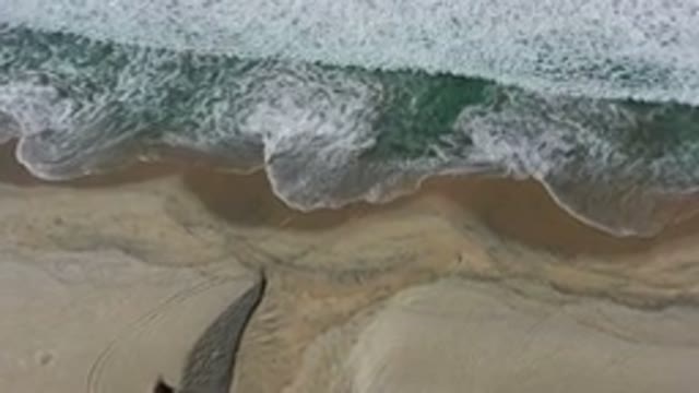 LOS CABOS MEXICO-2020: The Meeting Between The Sea And The Sands
