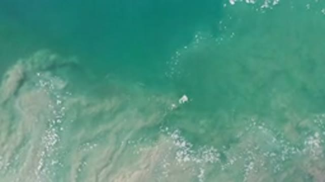 LOS CABOS MEXICO-2020: Glowing Blue Waves On The Shore Seem To Mirror Stars