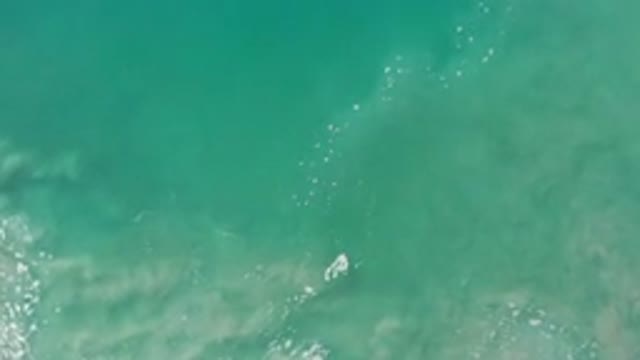 LOS CABOS MEXICO-2020: Light Green Water Sea With The Sunlight Reflecting On The Surface