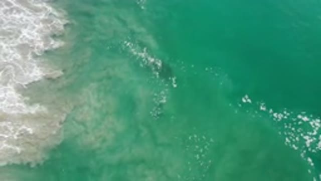 LOS CABOS MEXICO-2020: Very Calm Ocean Wave That Beautifies Nature In The