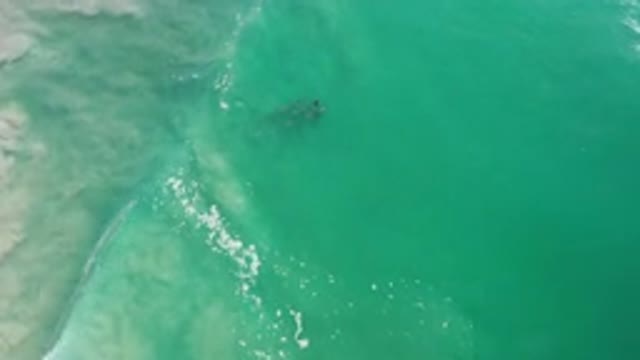 LOS CABOS MEXICO-2020: Beautiful Ocean Waves Crashing Into The Shore