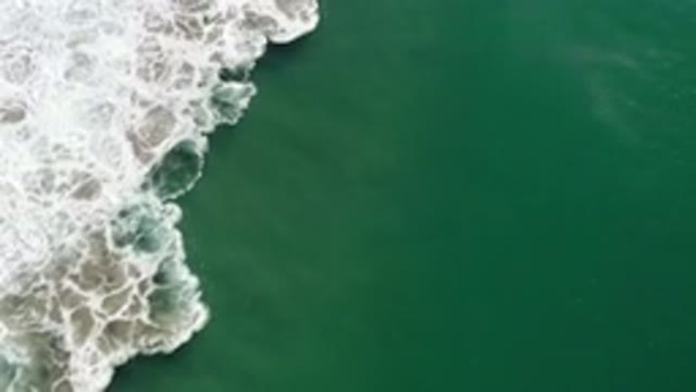 LOS CABOS MEXICO-2020: Large Body Of Water With A Green Tint As A Foaming Wave