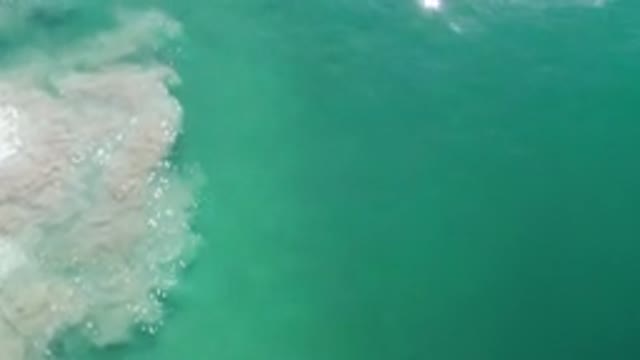 LOS CABOS MEXICO-2020: Wonderful Rock Formation And Corals In The Middle Of The