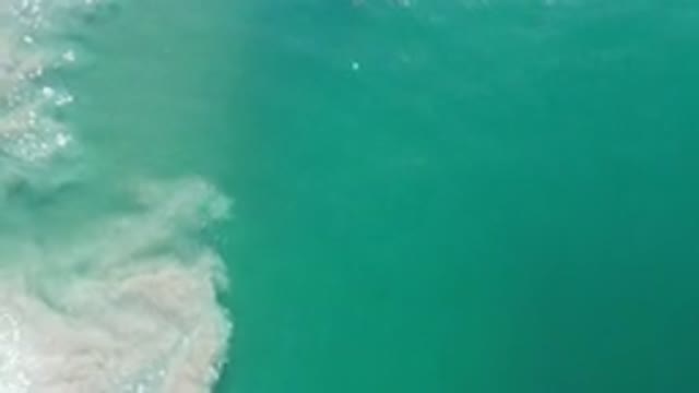 LOS CABOS MEXICO-2020: Large Wave Forming And Moving Quickly Towards Shore