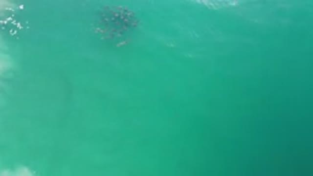 LOS CABOS MEXICO-2020: Zooming In On Translucent Water At Beach Or Lake