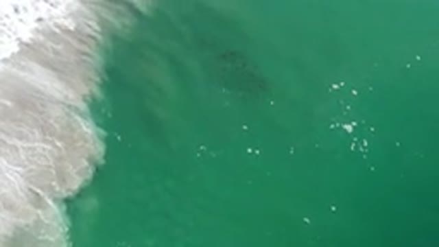 LOS CABOS MEXICO-2020: Aerial Footage Of A Large Body Of Water With Darker