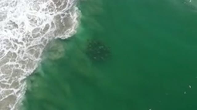 LOS CABOS MEXICO-2020: Majestic Wave In An Ocean