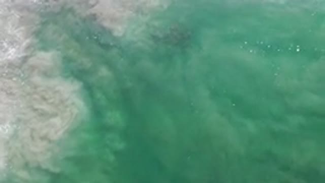 LOS CABOS MEXICO-2020: Two Different Colored Waters Merge at the Coast