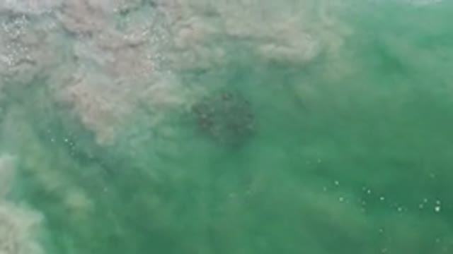 LOS CABOS MEXICO-2020: Glimpse of the Cloudy Water Beautiful to See