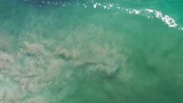 LOS CABOS MEXICO-2020: Large Body Of Water With A Green Tint And Dirt Swirling