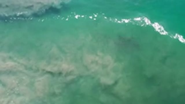 LOS CABOS MEXICO-2020: A Wild White Bubble Wave Through A Deep Green Sea Water