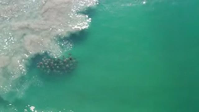 LOS CABOS MEXICO-2020: Beautiful Gentle Green Ocean Waves Shimmering In The