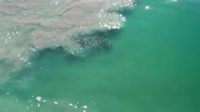LOS CABOS MEXICO-2020: School Of Fish Swimming Through Sea Waves In The Ocean