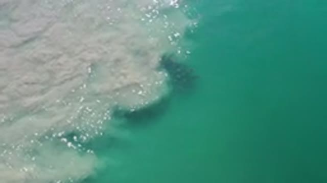 LOS CABOS MEXICO-2020: Ocean Layout Of Colors Of Aqua Blue Teal And White Waves