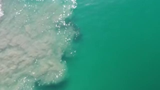 LOS CABOS MEXICO-2020: Beautiful Layout Of Colors Of Aqua Blue Teal Sea With The