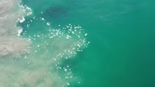 LOS CABOS MEXICO-2020: Amazing Beach During The Day