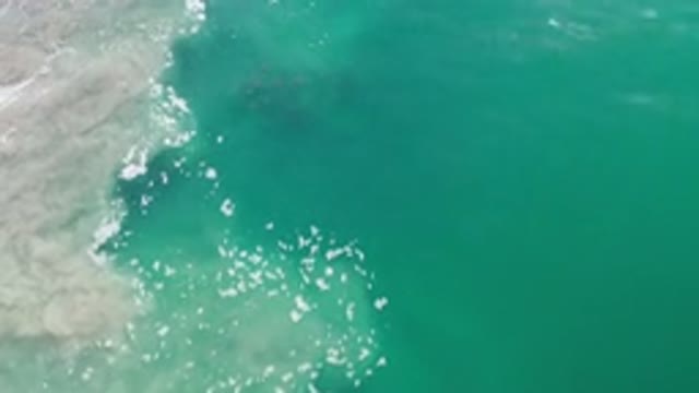 LOS CABOS MEXICO-2020: Amazing Clear Waters On The Coast