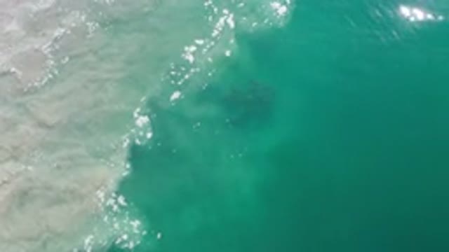 LOS CABOS MEXICO-2020: Beautiful Greenish Water With Iceberg Shines In The Sun