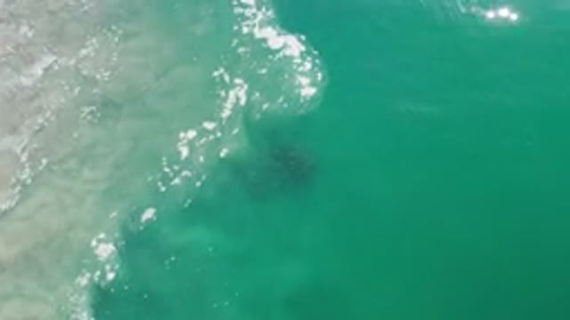LOS CABOS MEXICO-2020: Beautiful View Of The Clear Blue Ocean With Glistening Waves