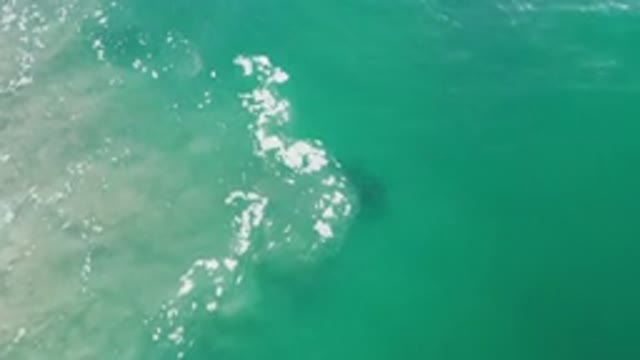 LOS CABOS MEXICO-2020: Above View Of Deep Green Ocean Current Disturbing Ocean