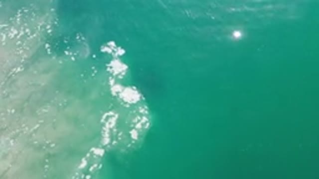 LOS CABOS MEXICO-2020: Blue Ocean Front Water Along A Coast Line