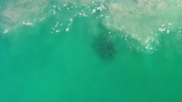 LOS CABOS MEXICO-2020: Slow Moving Footage Of Green Sea With Light In The