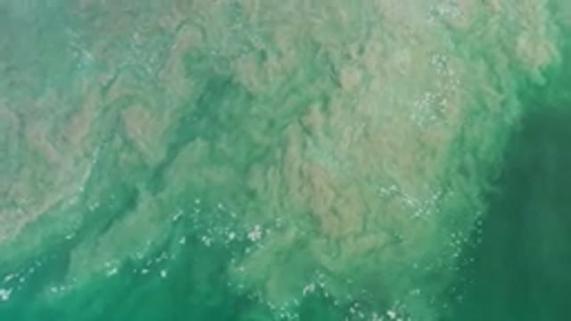 LOS CABOS MEXICO-2020: Straight Top View Of A Green Sea Water Wave With Mud Or