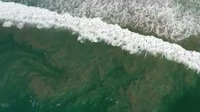 LOS CABOS MEXICO-2020: Aerial View of Beautiful Beach and Ocean