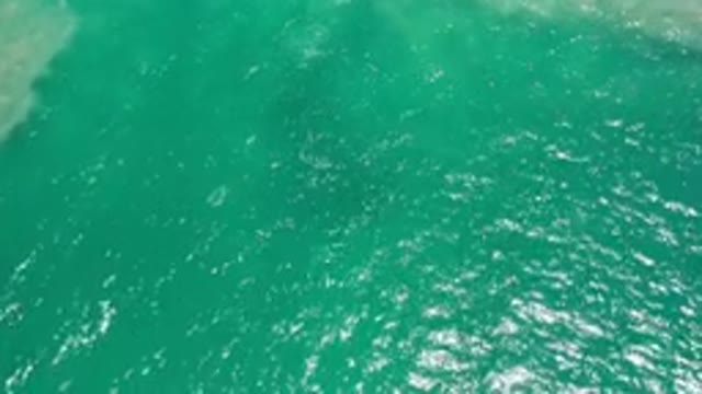 LOS CABOS MEXICO-2020: Greenish Color Water View From The Top
