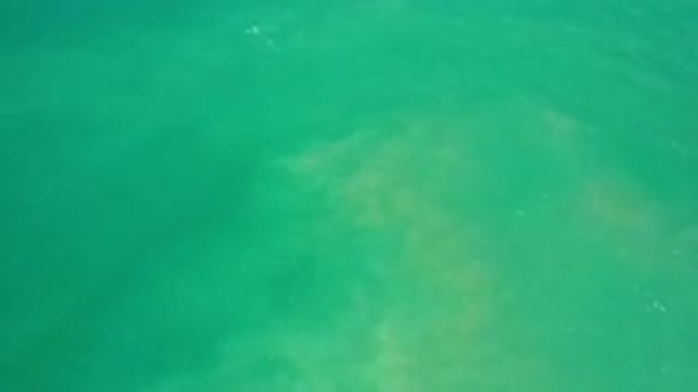 LOS CABOS MEXICO-2020: Ocean Of Dark Green Waters Turbid Without Fish Or Corals