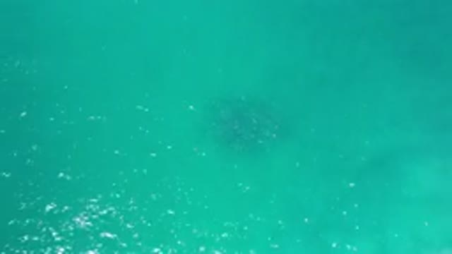 LOS CABOS MEXICO-2020: Shiny Blue Water With Sunlight Reflecting On Its Surface