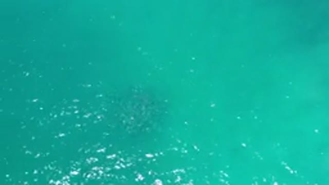 LOS CABOS MEXICO-2020: Above View Of Flowing Ocean Water In Paradise