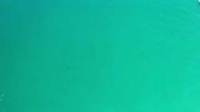 LOS CABOS MEXICO-2020: Sea Ocean Salt Green Water Sunny Sun Summer Wave Morning