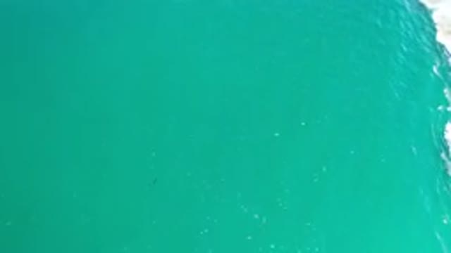 LOS CABOS MEXICO-2020: Green and Deep Aerial View of a Sea