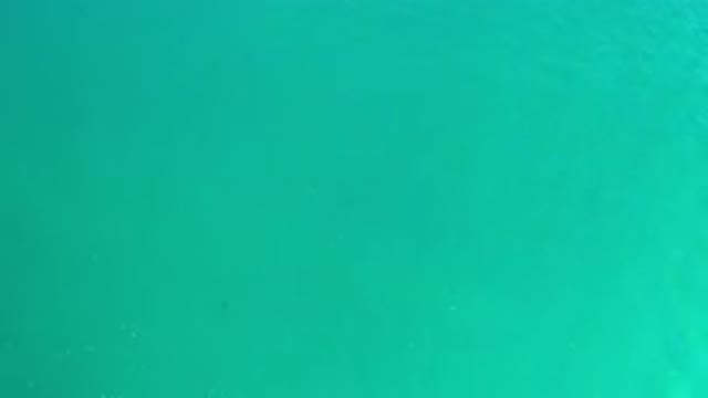 LOS CABOS MEXICO-2020: Shiny Blue Water Sea During A Sunny Day With One Lonely