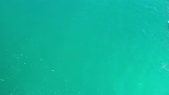 LOS CABOS MEXICO-2020: Floating Above Green Clean Water With Gentle Waves And