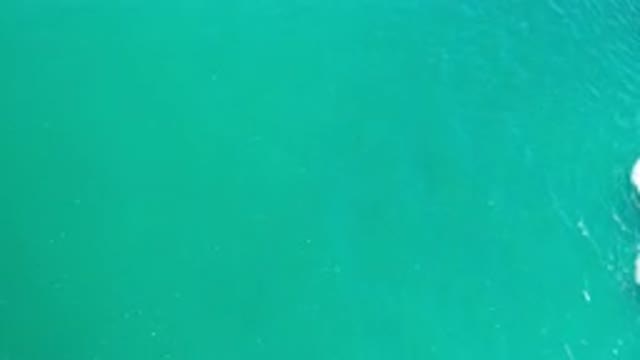 LOS CABOS MEXICO-2020: Top View Of Green Sea With Calm Waves And Seaweed In The