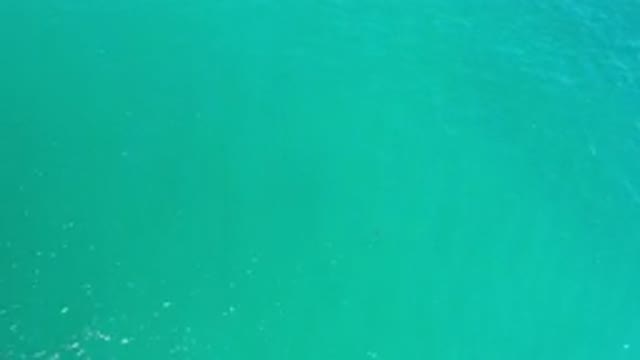 LOS CABOS MEXICO-2020: Top View Or Drone View Water Sea Or River Or Ocean Green