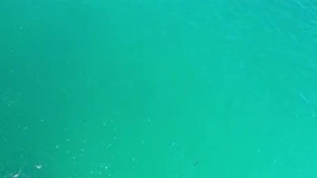 LOS CABOS MEXICO-2020: Shot Of A Clam Blue Green Ocean Devoid Of Sea Life