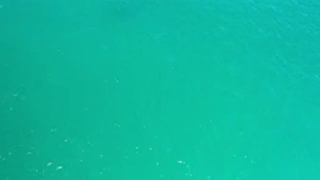 LOS CABOS MEXICO-2020: A Beautiful Body Of Aqua Water Has Slight Ripples With