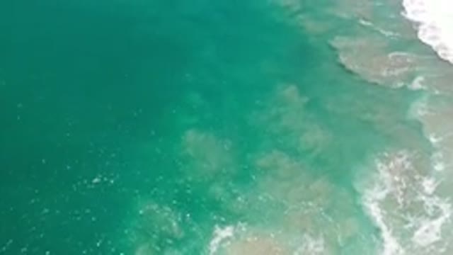 LOS CABOS MEXICO-2020: The Wonders of the Ocean