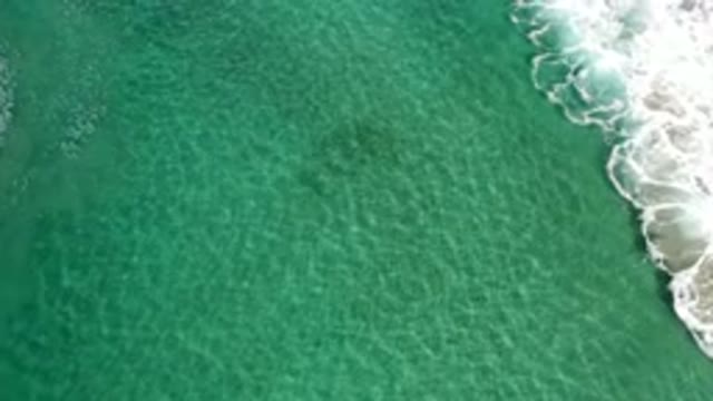 LOS CABOS MEXICO-2020: Beautiful And Vividly Green Water With Calm Waves
