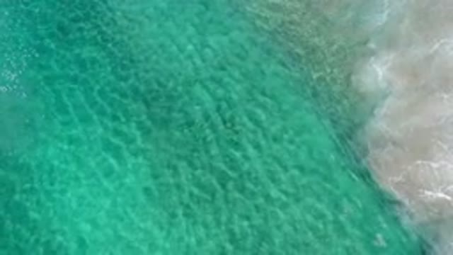 LOS CABOS MEXICO-2020: Waves Hitting Shore Shoal Of Fish Filmed From High Above